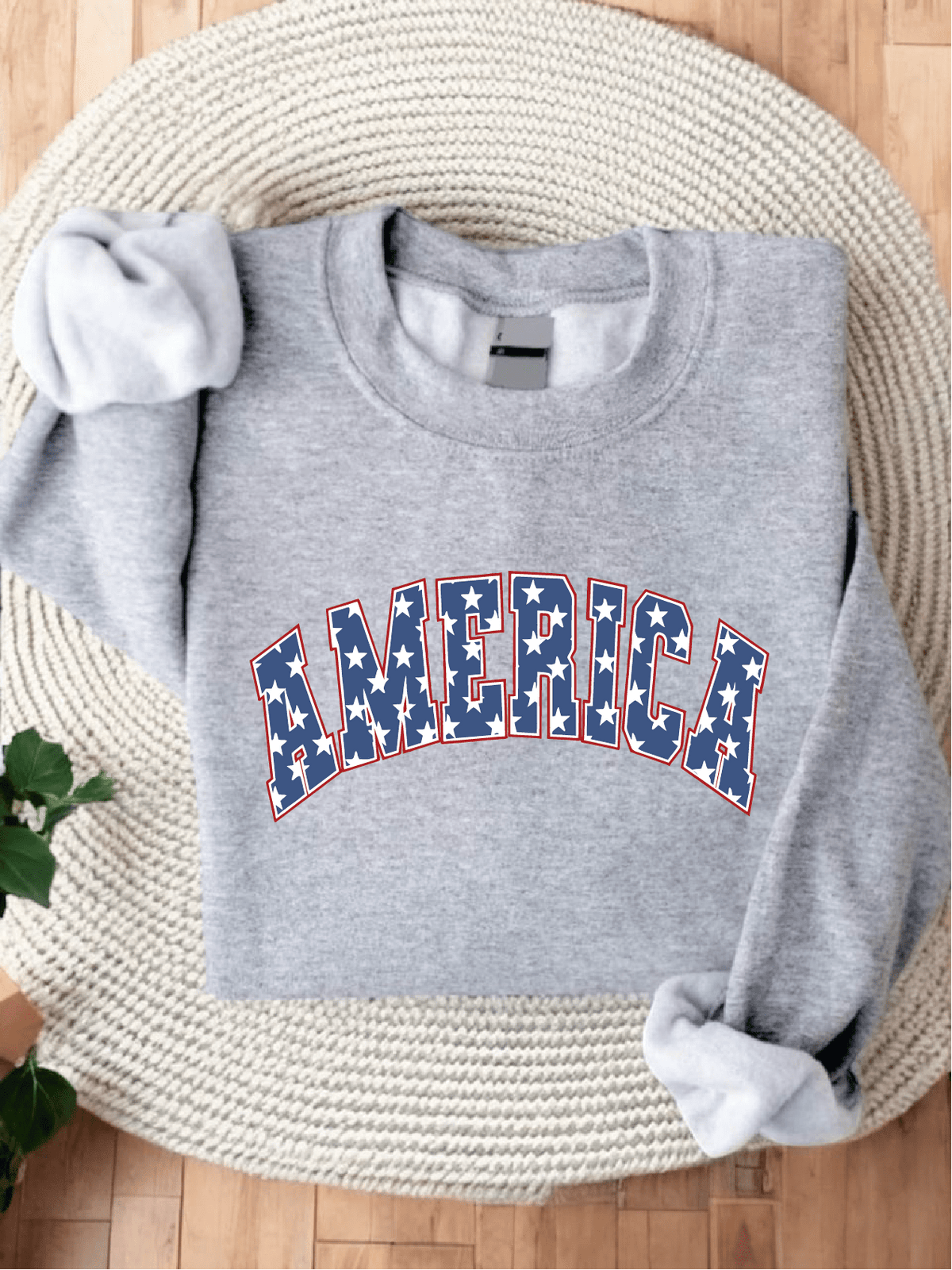 America 1776 Sweatshirt