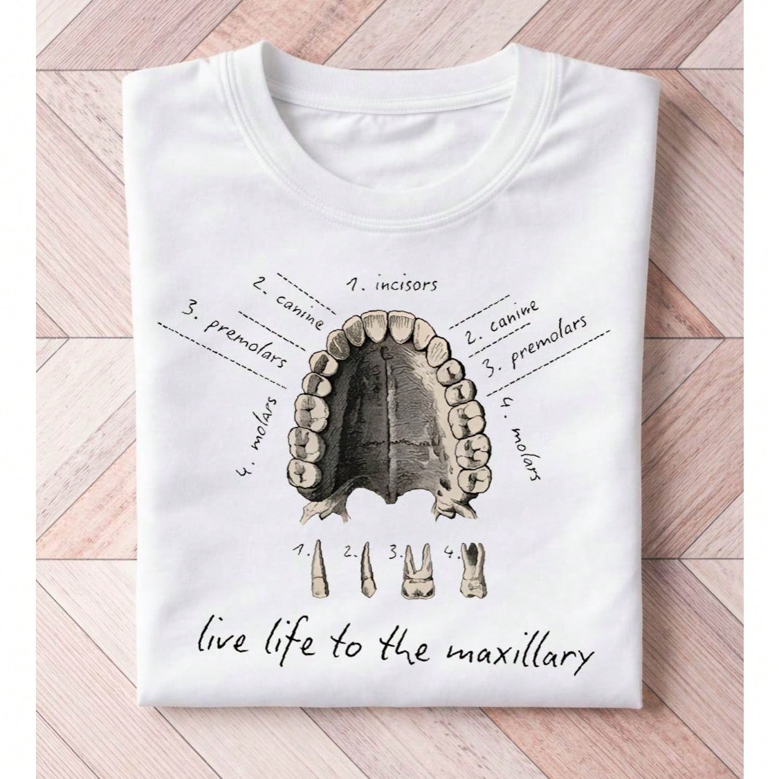 Dental Anatomy T-Shirt