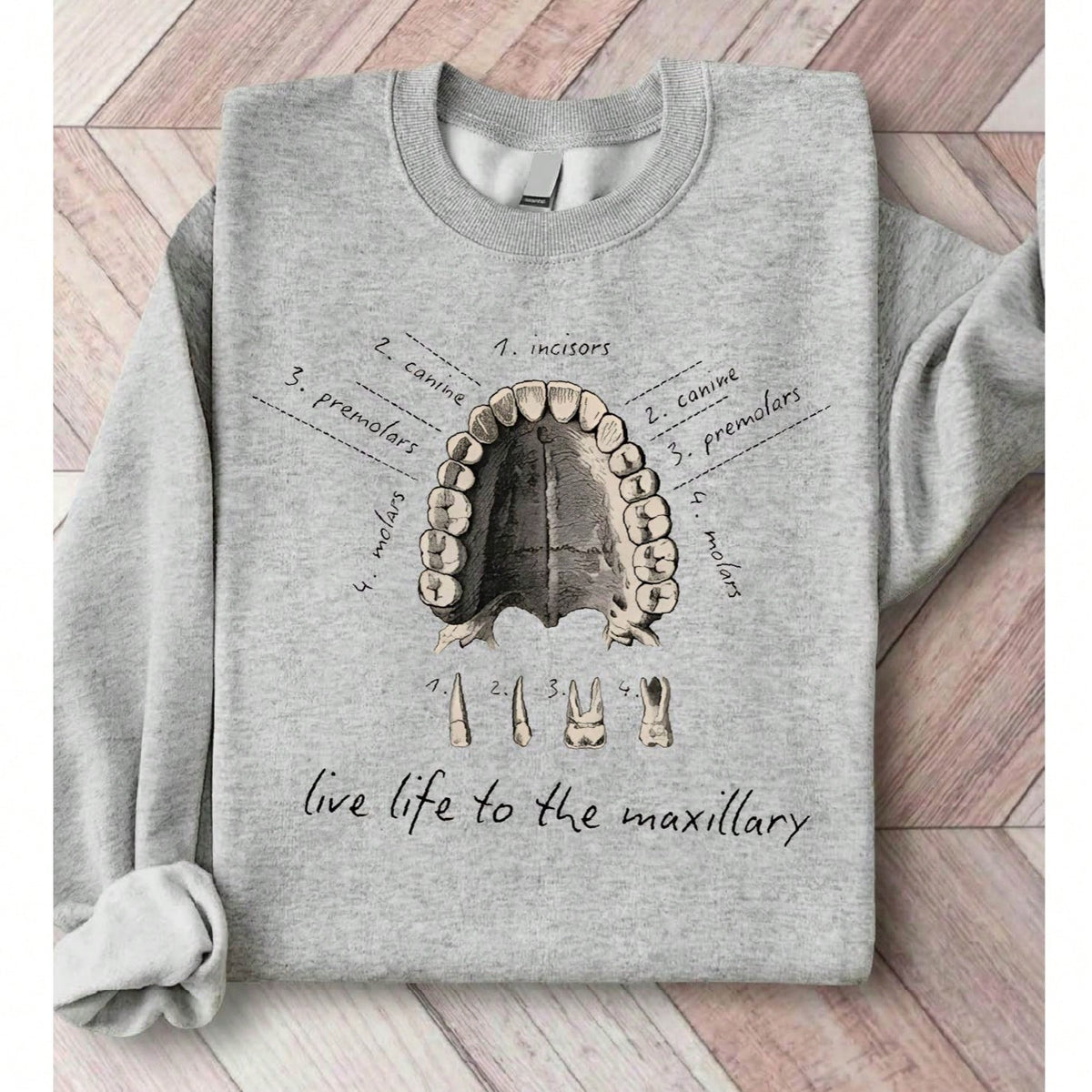 Dental Anatomy Sweatshirt