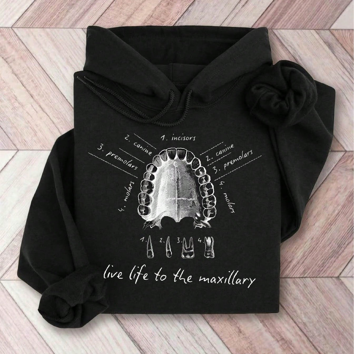 Dental Anatomy Hoodie