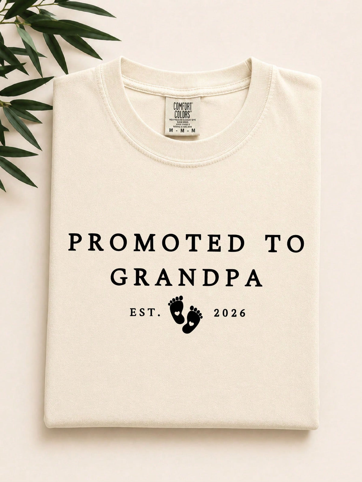 Promoted To Grandpa T-Shirt