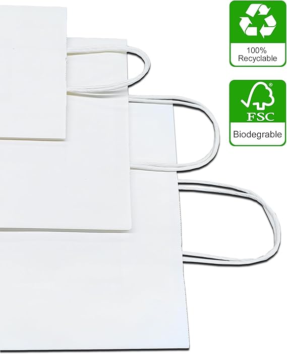 Paper Bag Custom Personalized Same Day Printing and Shipping