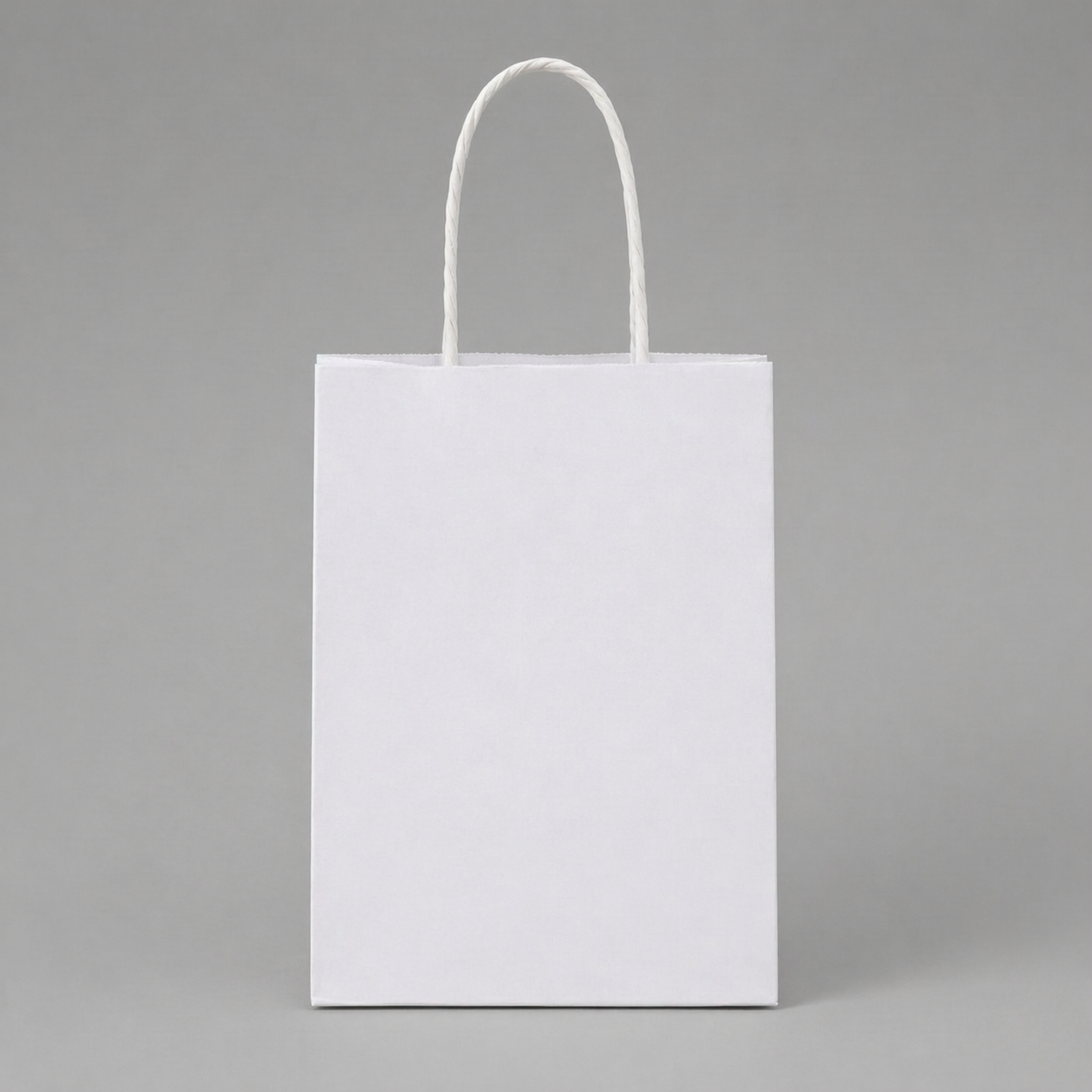 Paper Bag Custom Personalized Same Day Printing and Shipping