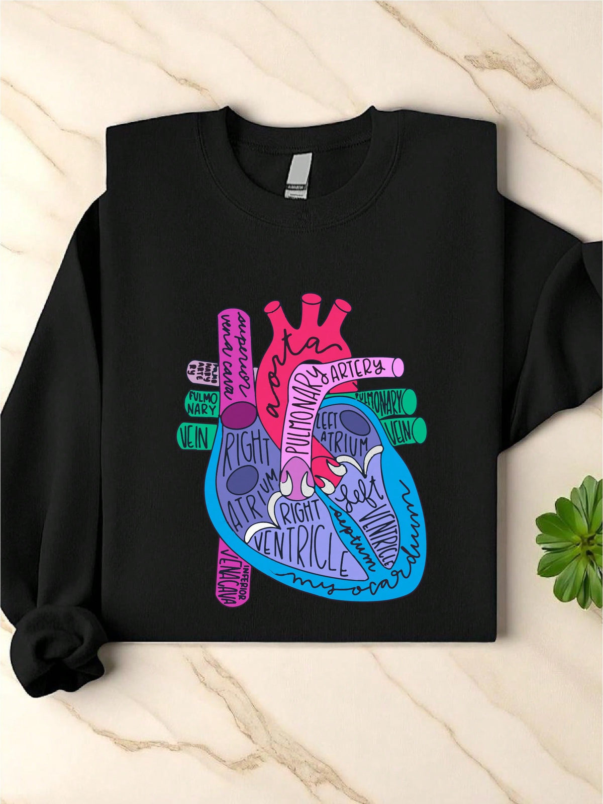 Heart Anatomy Sweatshirt