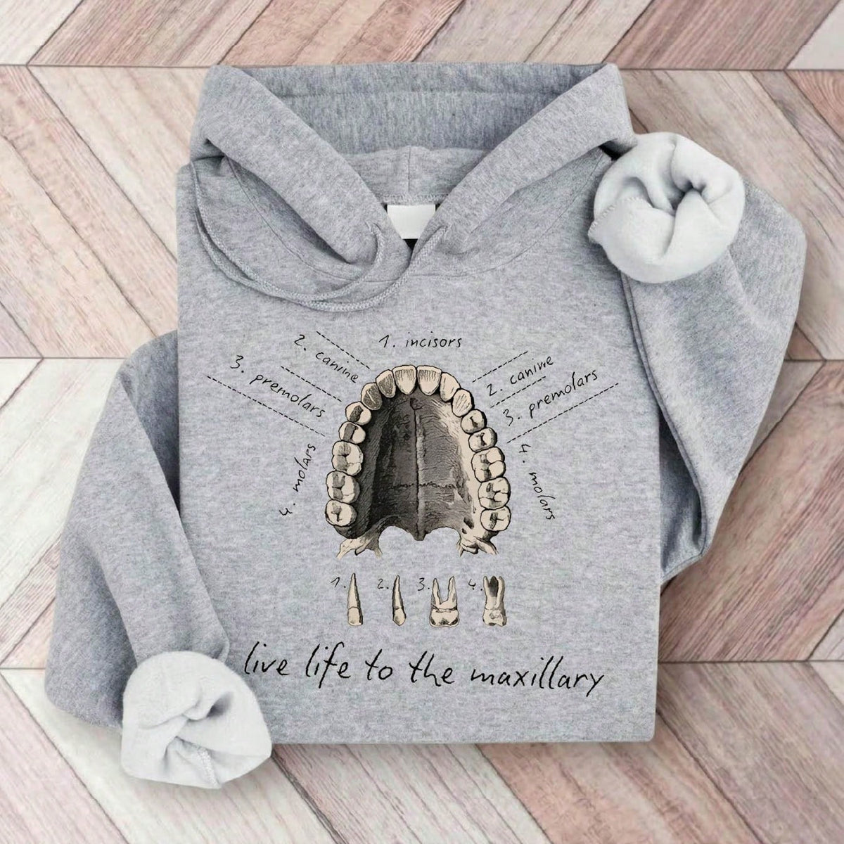 Dental Anatomy Hoodie
