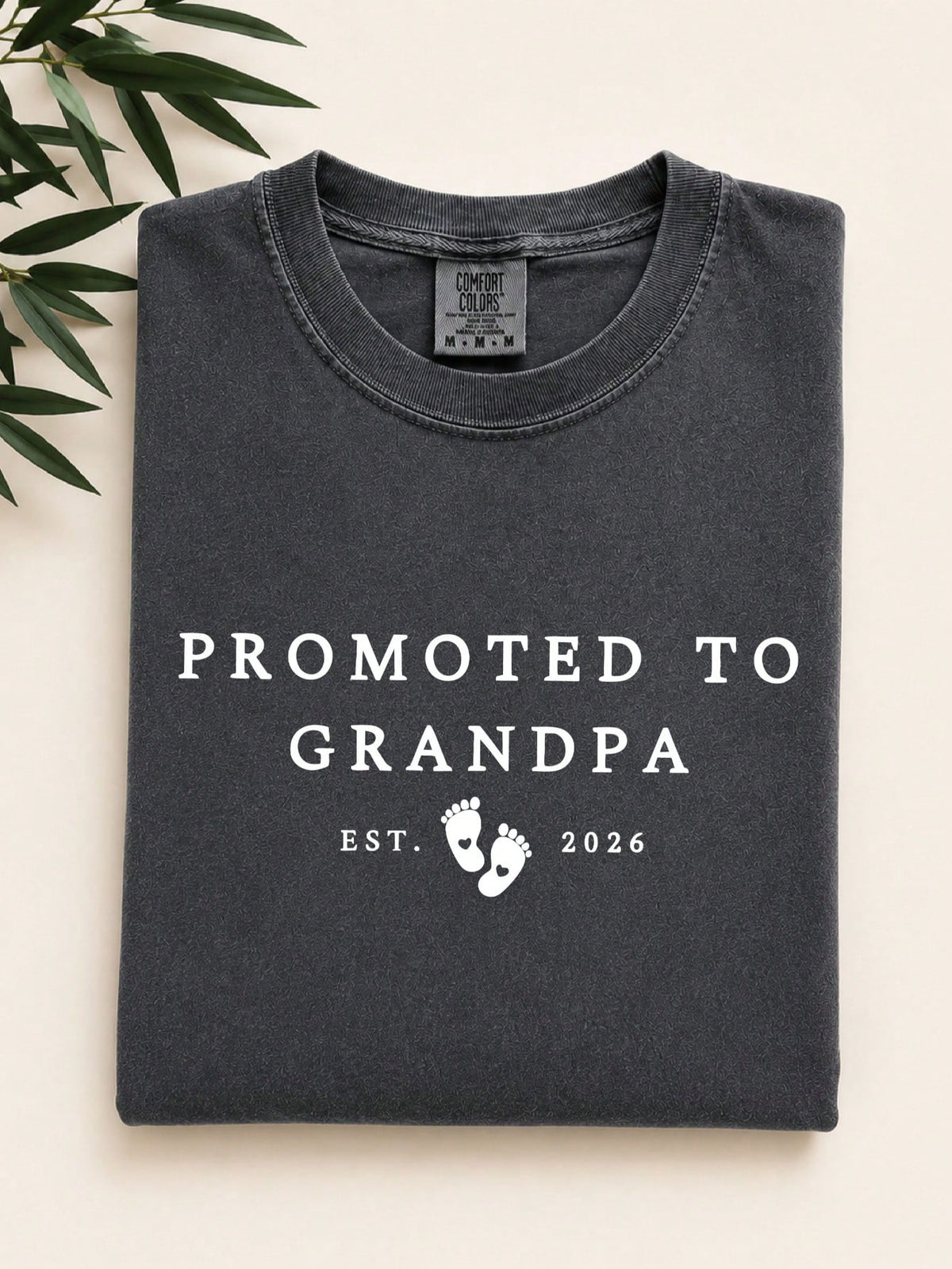 Promoted To Grandpa T-Shirt