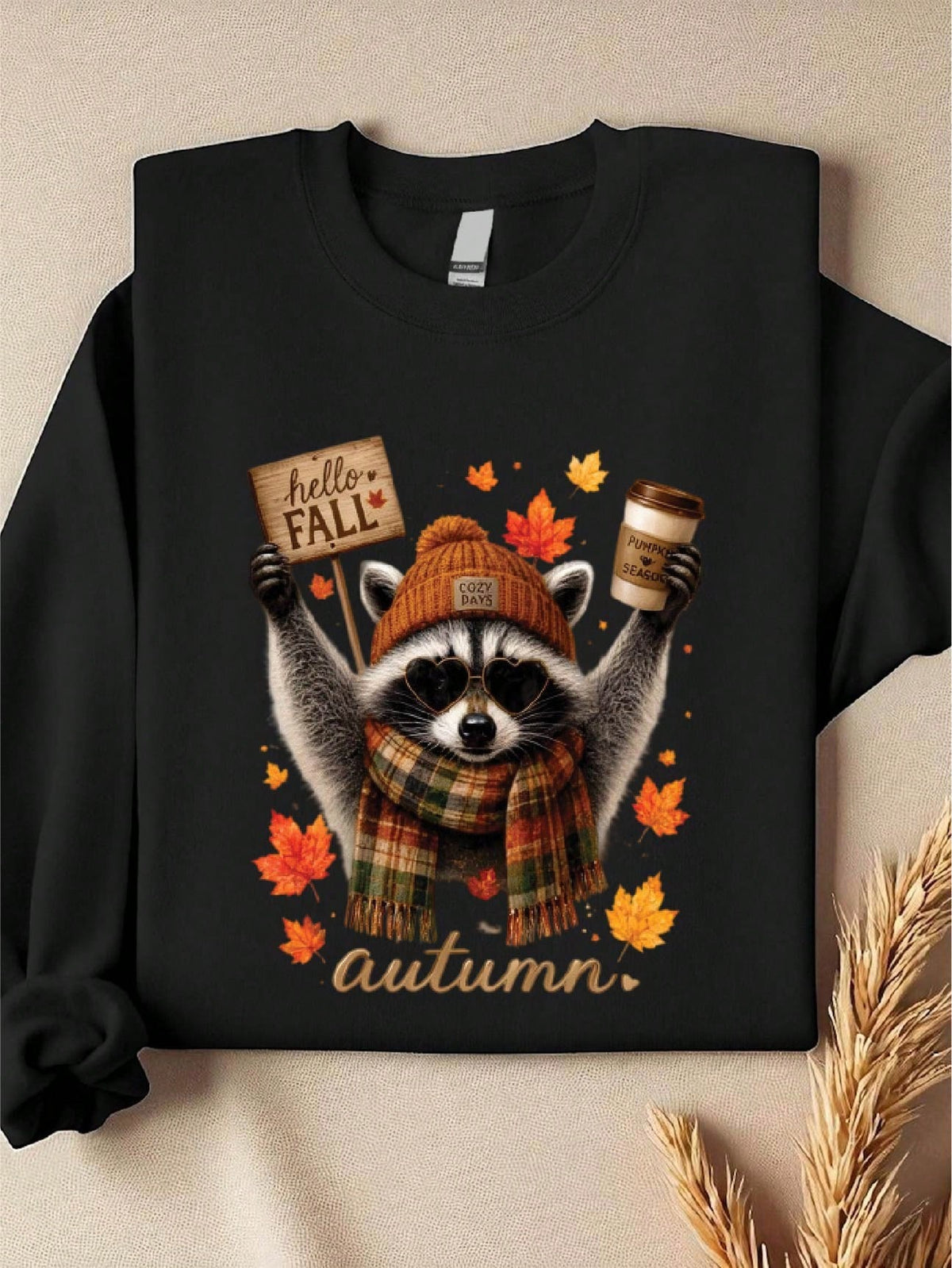 Hello Fall Raccoon Sweatshirt