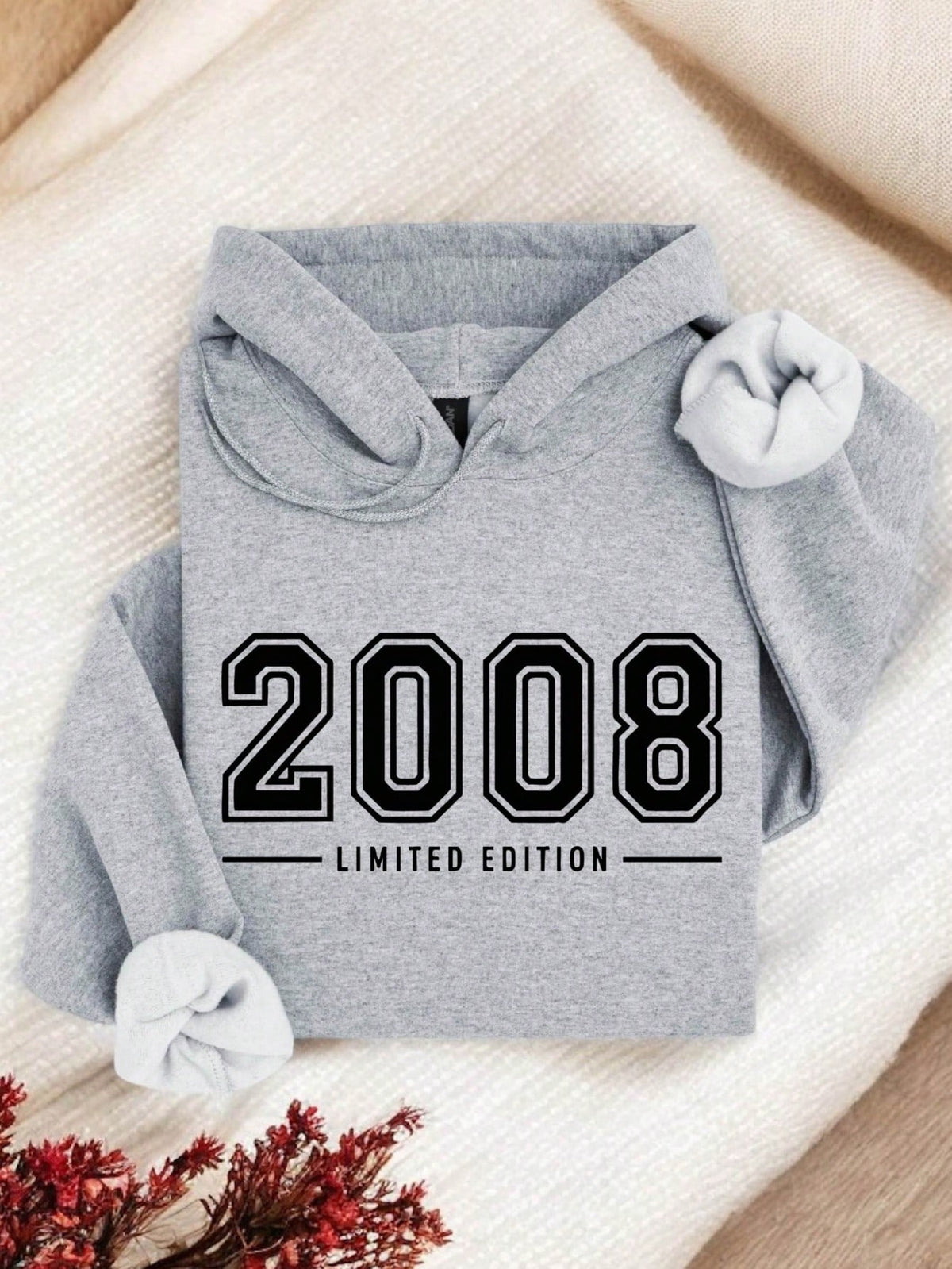 2008 Limited Edition Hoodie