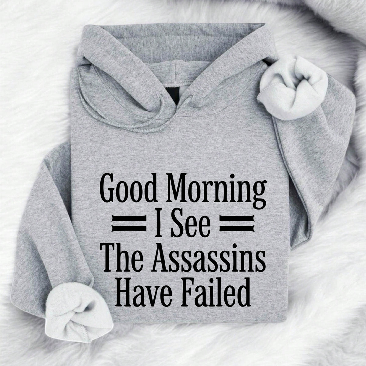 Good Morning I See The Assassins Have Failed Hoodie
