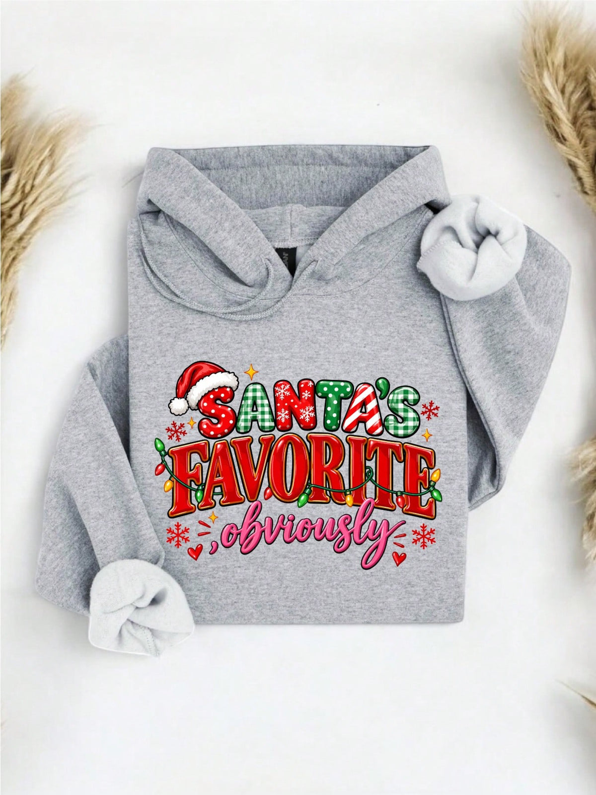 Santa's Favorite Obviously Hoodie