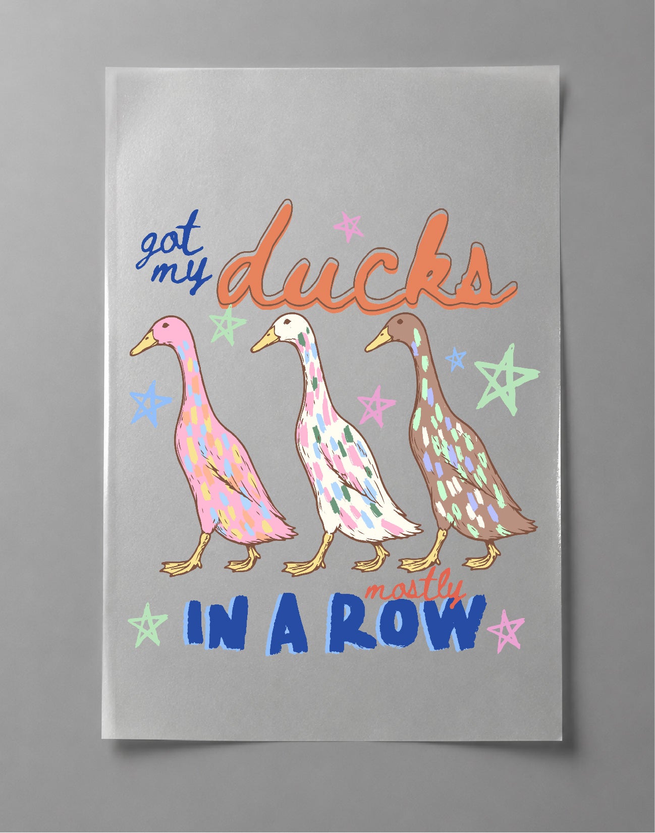 Got My Ducks Mostly in a Row Shirt – Funny Duck Graphic Tee, Cute Farm Animal Shirt, Country Humor Tee – DTF-14
